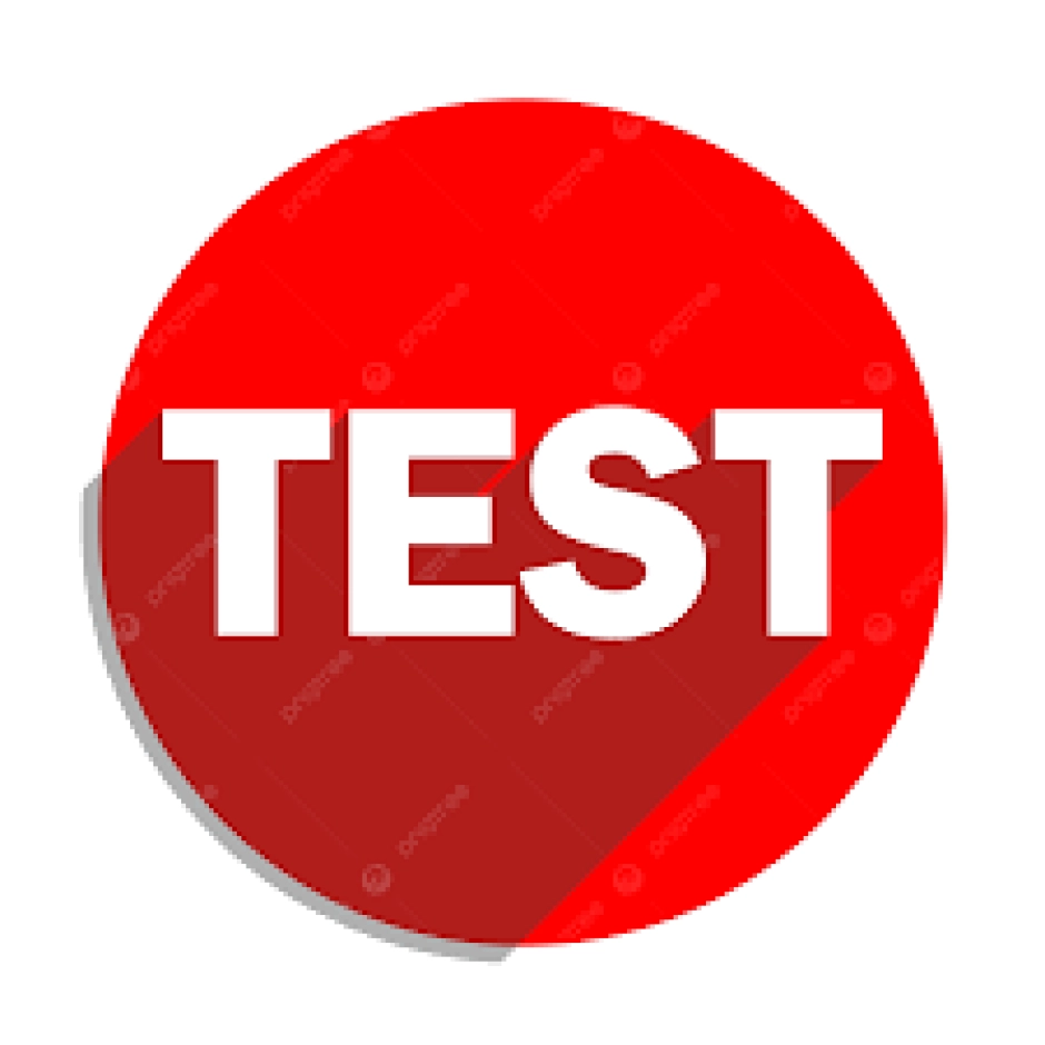 test by dev